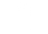 Logo Vetor V BR